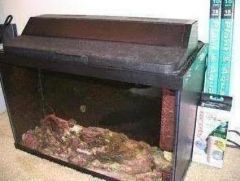 Q tank for sale