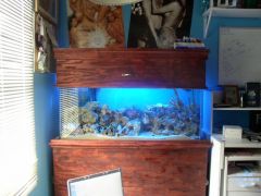 My tank from the front