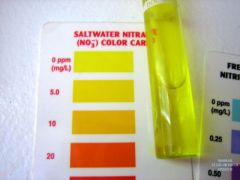 nitrate test results