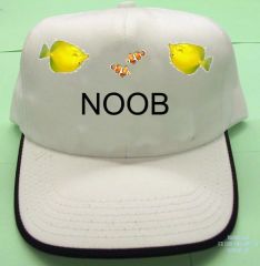 noob hat