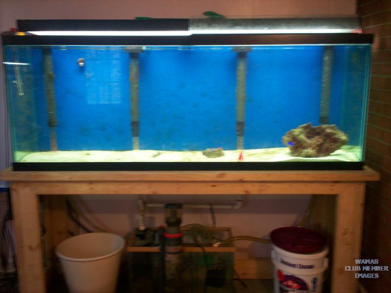 150 gallon tank, sump and stand