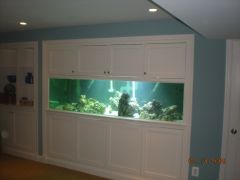 Front of the tank