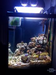 oceanic 30 gallon cube side view
