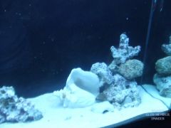 Right Side of Tank