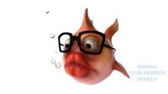 Fish with Glasses