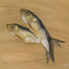 Salted Fish