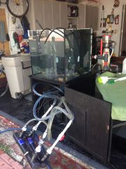 60 Gal Tank And UV Lights Cleaning
