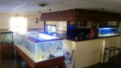 fish room