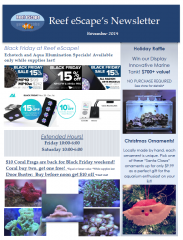 november 2014 newsletter final