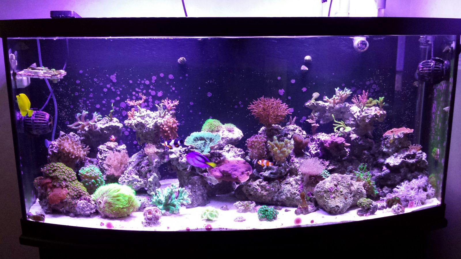 mytank