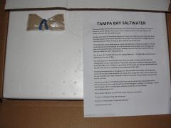 TBS Instructions and bacteria