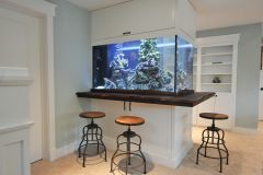 Fishtank Bar Peninsula and Cabinetry
