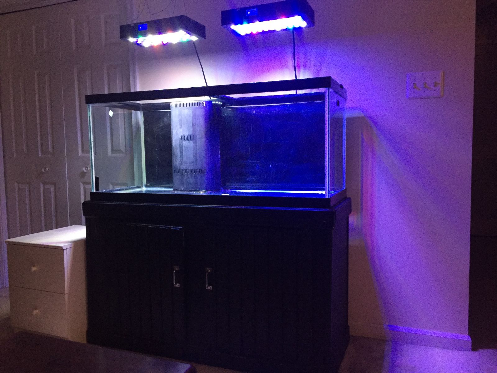 75g RR Tank and Stand - $147 OBO