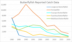 Butterflyfish possible collapse