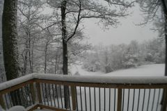 Snow - out back 3