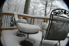Snow -out back 2