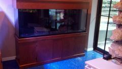 Reef eScape Tank For Raffle