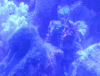 post-2635153-0-03283700-1406134837_thumb.gif