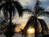 post-2635153-0-09674200-1406135775_thumb.gif