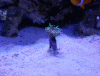 post-2635153-0-33798700-1406134903_thumb.gif