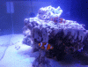 post-2635153-0-56886100-1406134873_thumb.gif