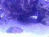 post-2635153-0-59540800-1406134856_thumb.gif