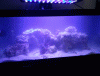 post-2635153-0-82156600-1405976995_thumb.gif