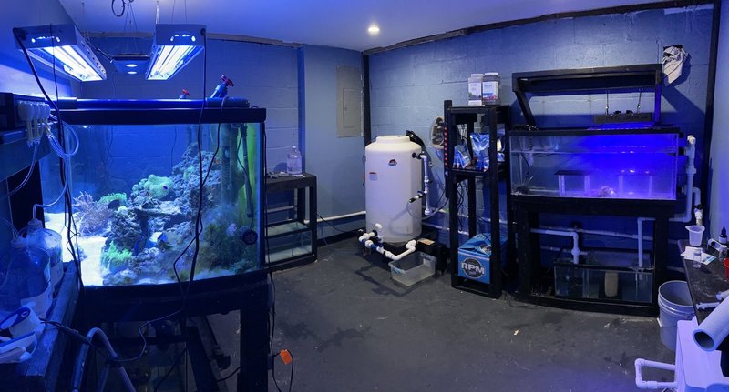 Fish Room Pano.JPG