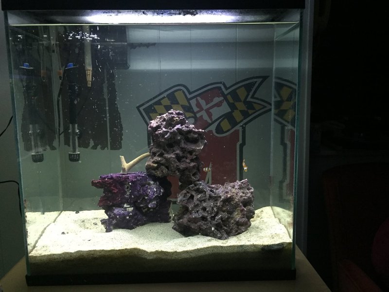 FTS with Clowns(1).JPG