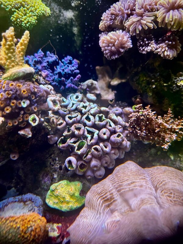 IMG_6944.jpeg
