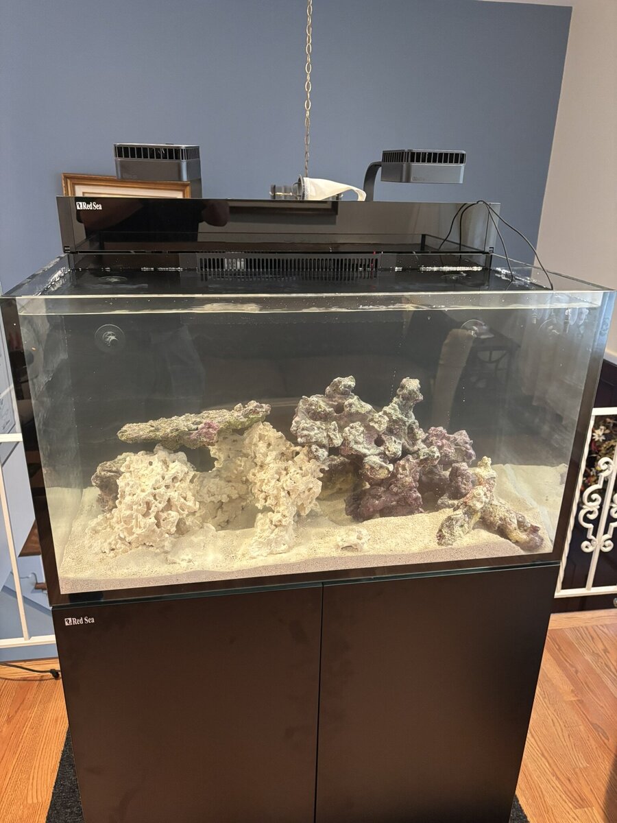 George's New Red sea max nano xxl g2 tank