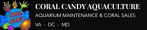 CoralCandyHorizontalLogoH60.png